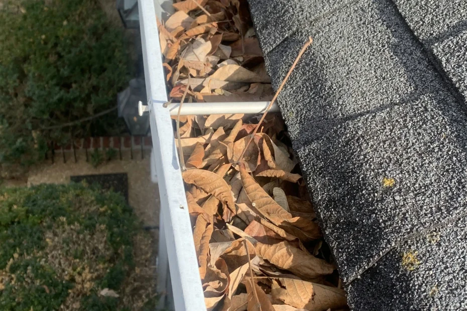 Georgetown Gutter Cleaning